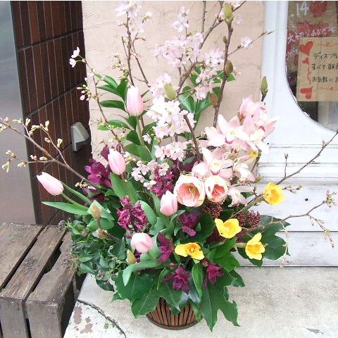 お店の開店祝いや開業祝いのプレゼントに 和風アレンジ 桜 ギャラリー 銀座 阿佐ヶ谷の花屋 Avail アヴェール
